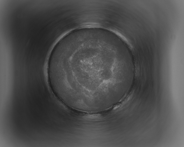 X0000100471325200806271133