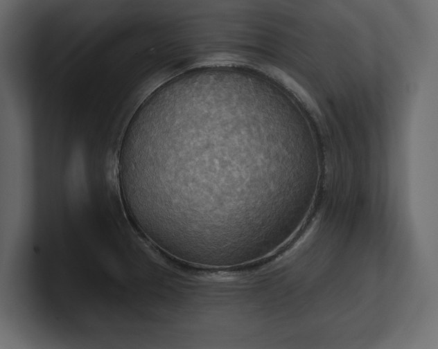 X0000100471329200806271133