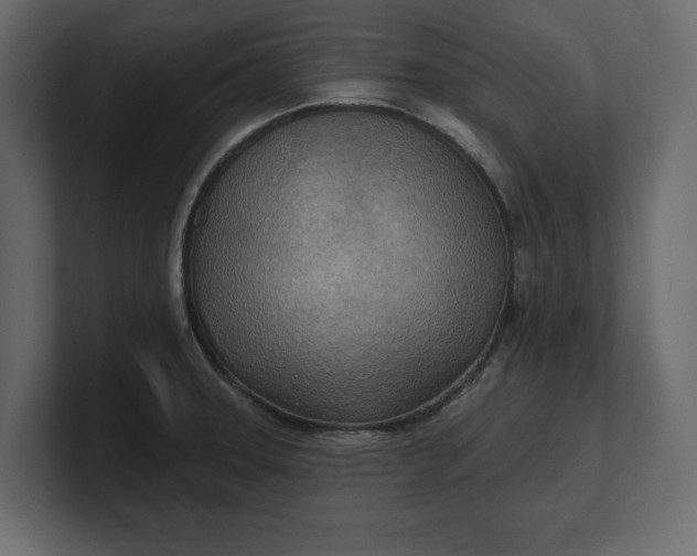 X0000100471331200806271134