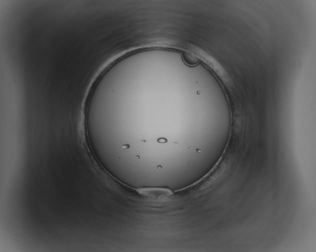 X0000100471332200806271134