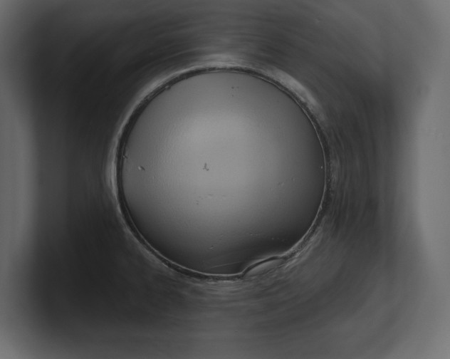 X0000100471334200806271134