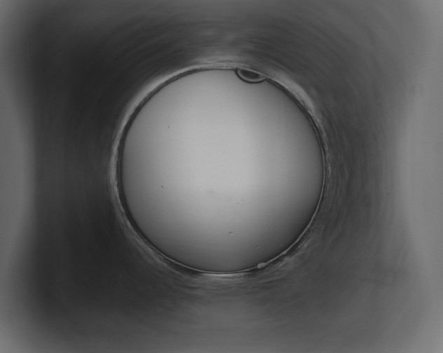 X0000100471344200806271134