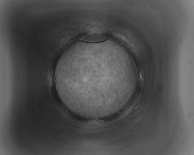 X0000100471348200806271133