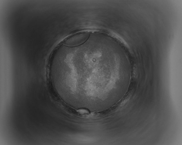 X0000100471352200806271133