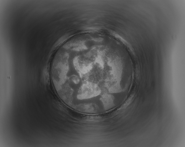 X0000100471354200806271133