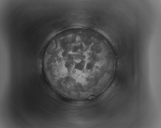 X0000100471355200806271133