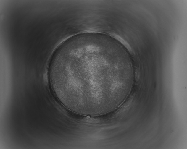 X0000100471356200806271133