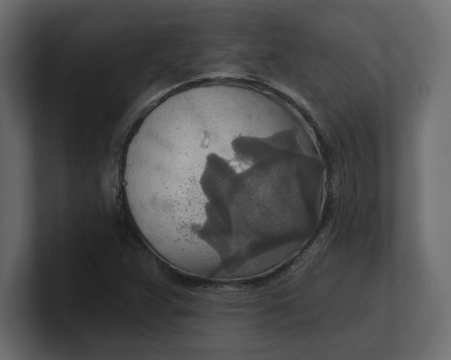 X0000100471359200806271133