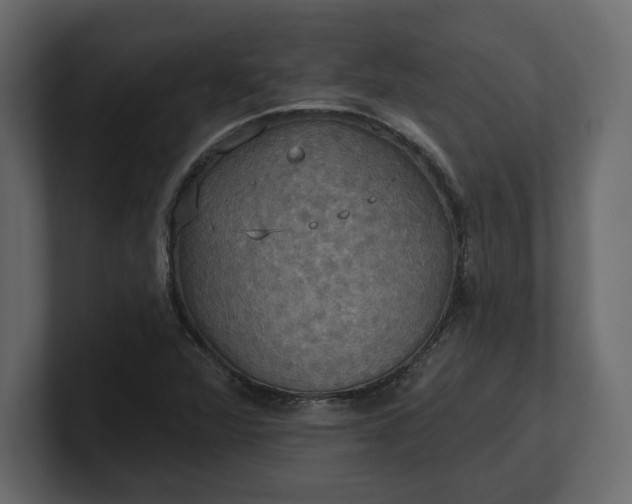 X0000100471360200806271133