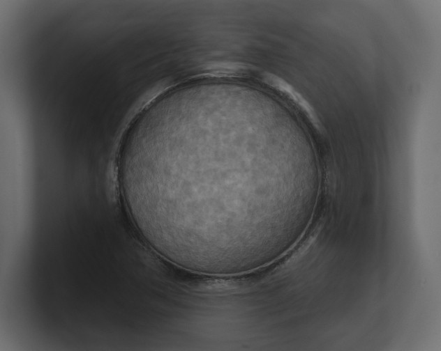 X0000100471362200806271133