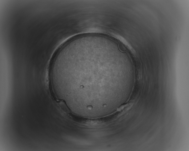 X0000100471364200806271133