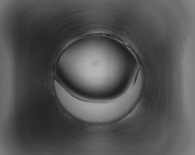 X0000100471369200806271133