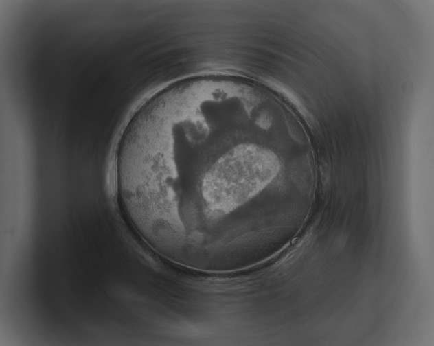 X0000100471371200806271133