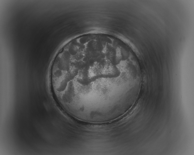 X0000100471375200806271133