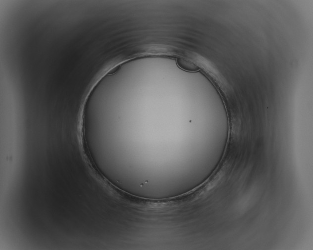 X0000100471378200806271133