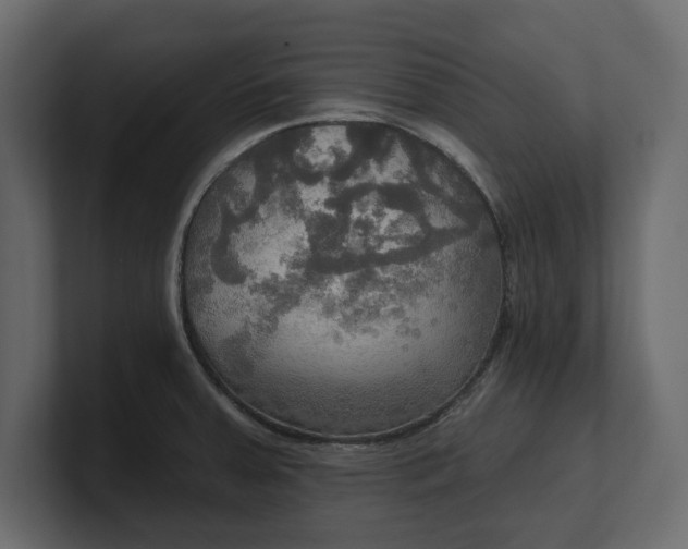 X0000100471379200806271133