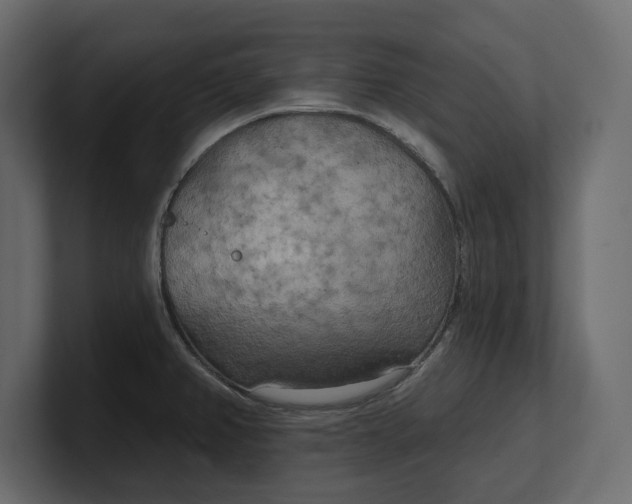 X0000100471382200806271132