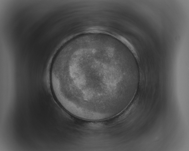 X0000100471384200806271132