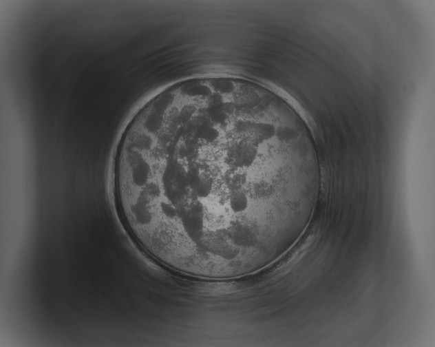 X0000100471387200806271132