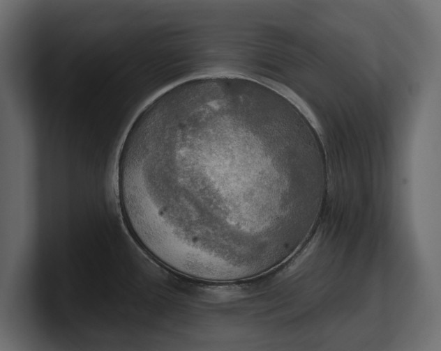 X0000100471388200806271132