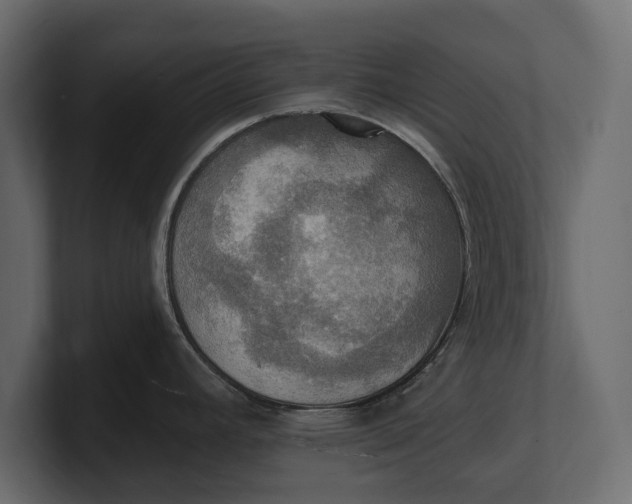 X0000100471392200806271132