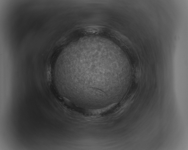 X0000100471394200806271132