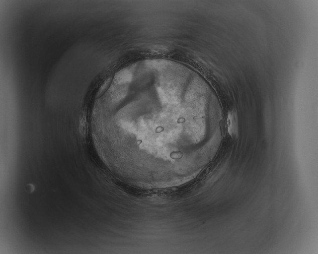 X0000100471395200806271132