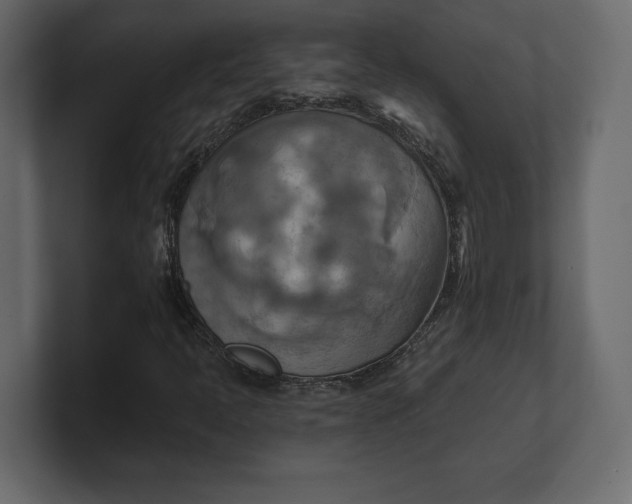 X0000100471397200806271132