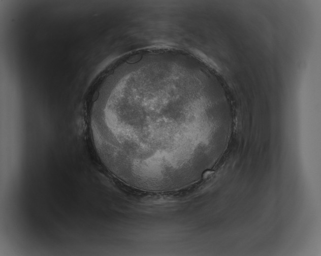 X0000100471400200806271132