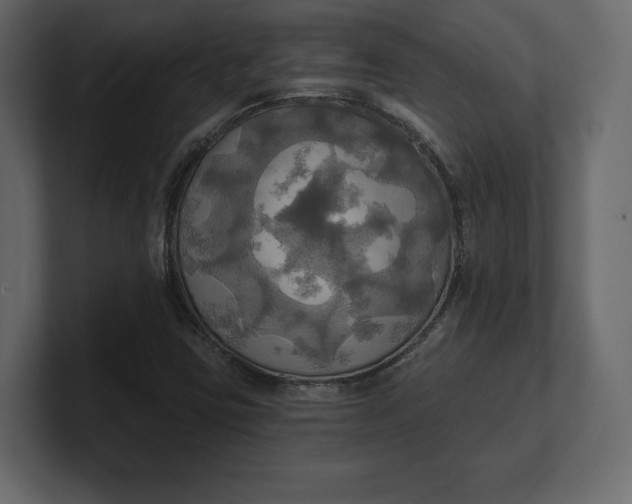 X0000100471403200806271132