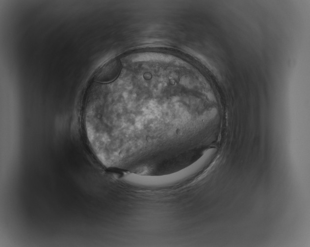 X0000100471405200806271132