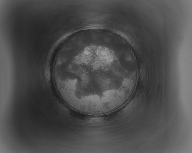 X0000100471406200806271132