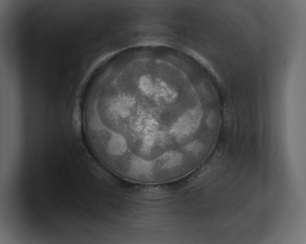 X0000100471408200806271132