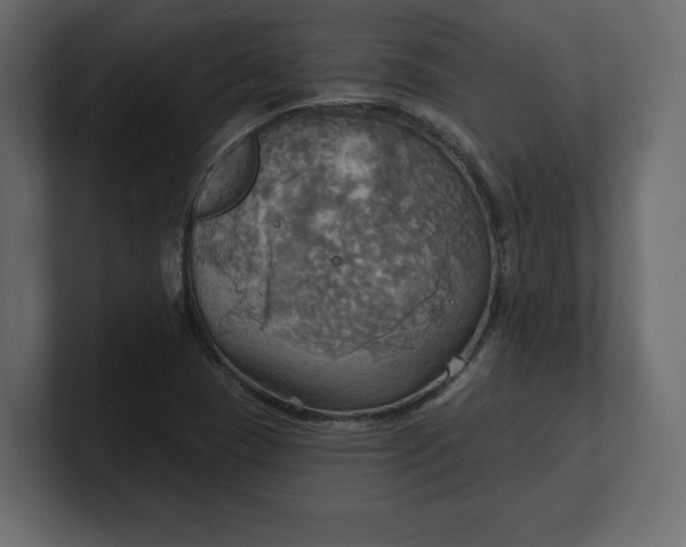 X0000100471409200806271132