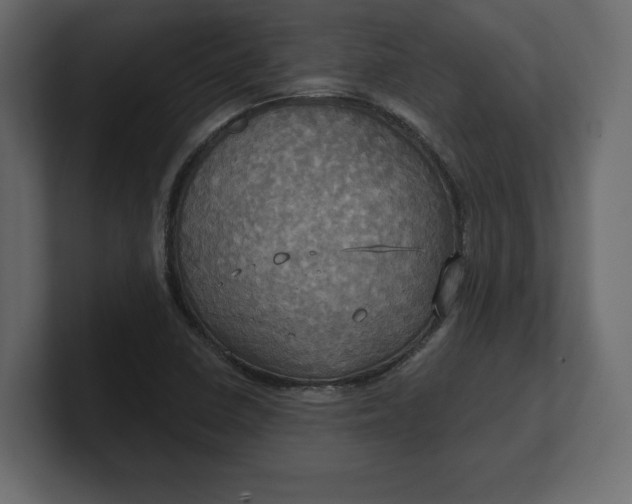 X0000100471410200806271132