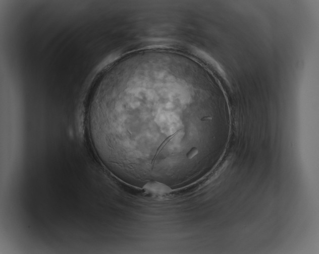 X0000100471411200806271132