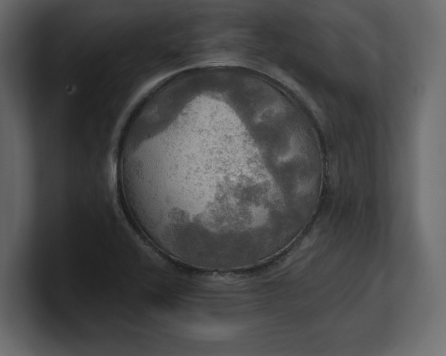 X0000100471416200806271132