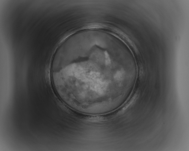 X0000100471417200806271132