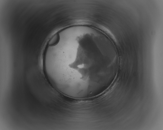 X0000100471419200806271132