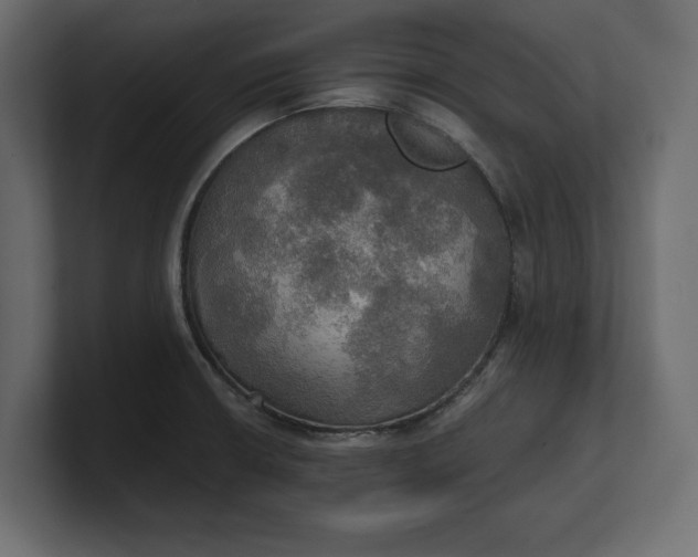 X0000100471426200806271132