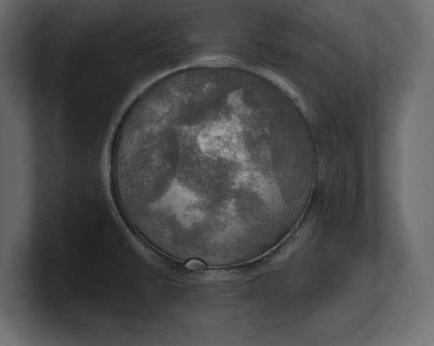 X0000100471430200806271132