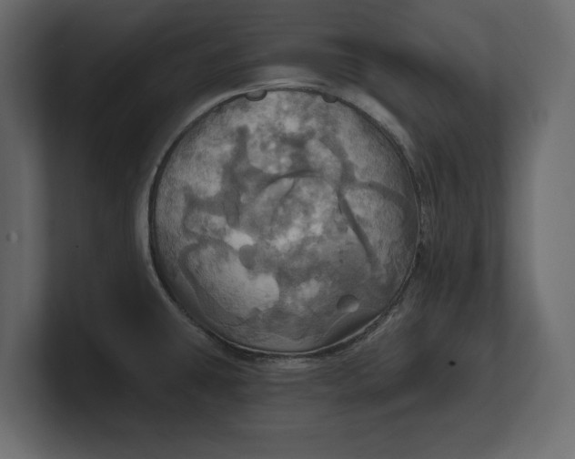 X0000100471431200806271132