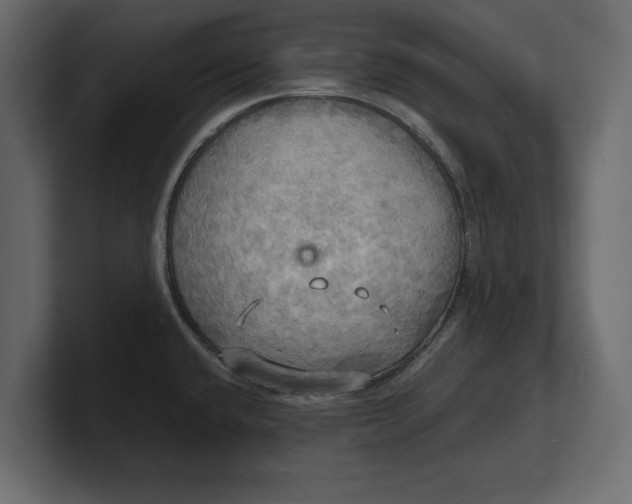 X0000100471432200806271132