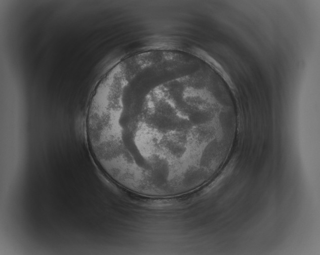 X0000100471433200806271132