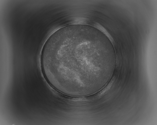 X0000100471434200806271132