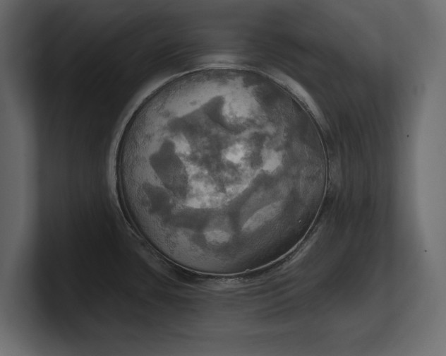 X0000100471435200806271132