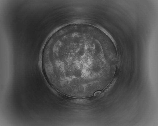 X0000100471437200806271132