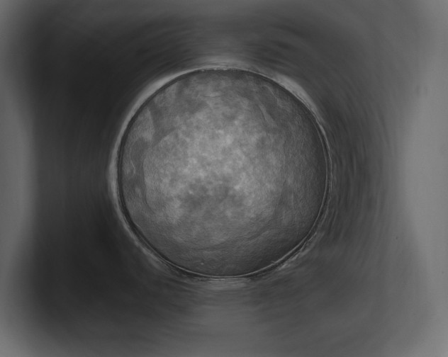 X0000100471440200806271132