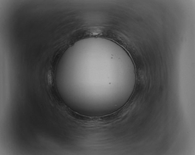 X0000100471442200806271132