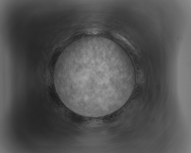 X0000100471446200806271132